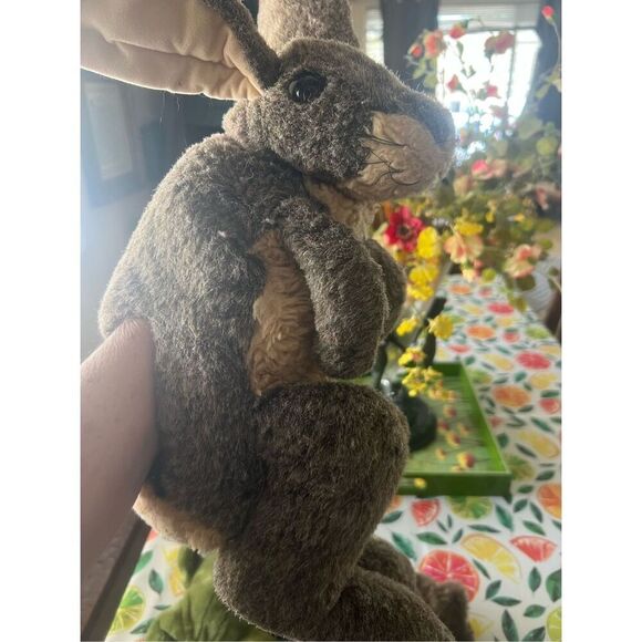 Three vintage plush hand puppets, jack rabbit, raccoon and frog folkmanis, dakin - Picture 4 of 16